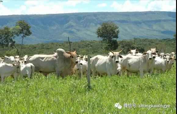 微信图片_20180615173900.jpg 微信图片_20180615173900.jpg