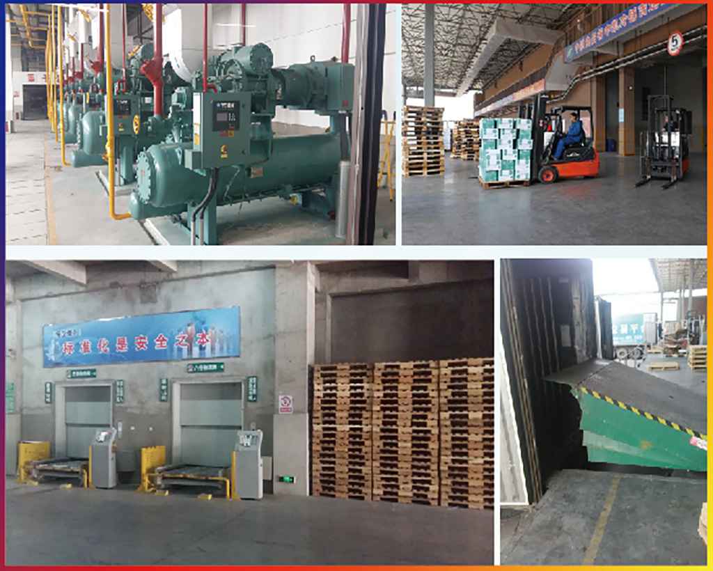 image009.jpg image009.jpg