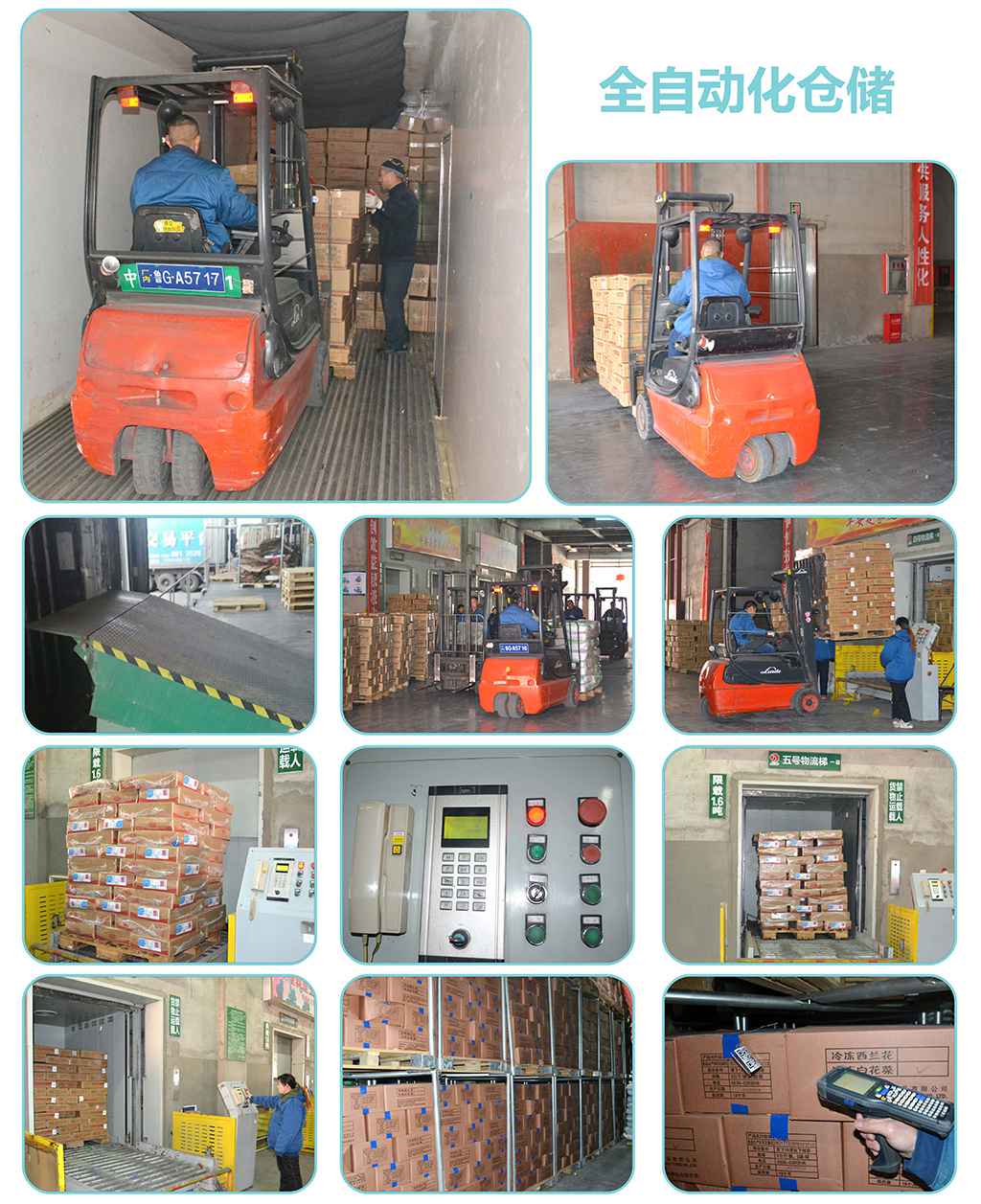 DSC_0283.jpg DSC_0283.jpg