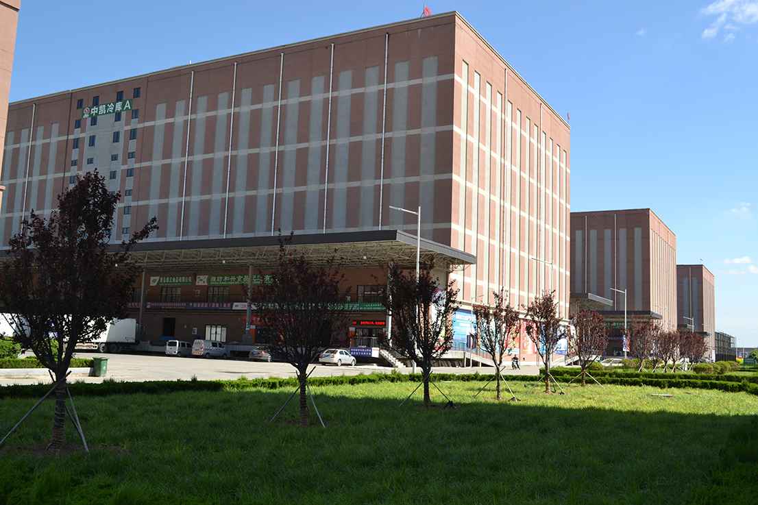 DSC_0075.jpg DSC_0075.jpg