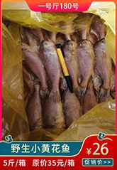 野生小黄花.jpg 野生小黄花.jpg