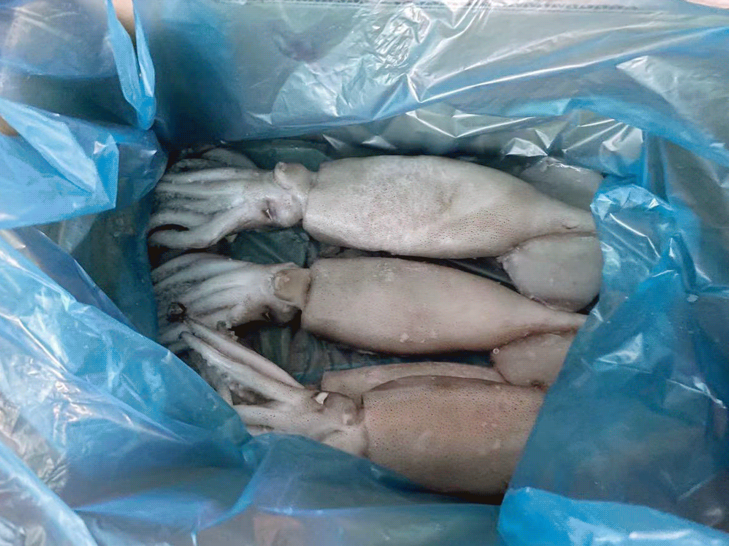 微信图片_2021011409581912.gif 微信图片_2021011409581912.gif